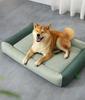 Tailnesty PawCloud™