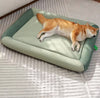 Tailnesty PawCloud™